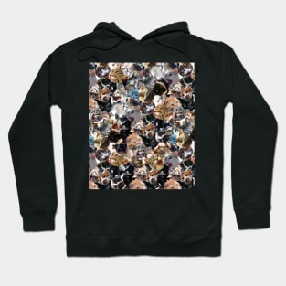 Cats Face Funny Cat Collage Hoodie